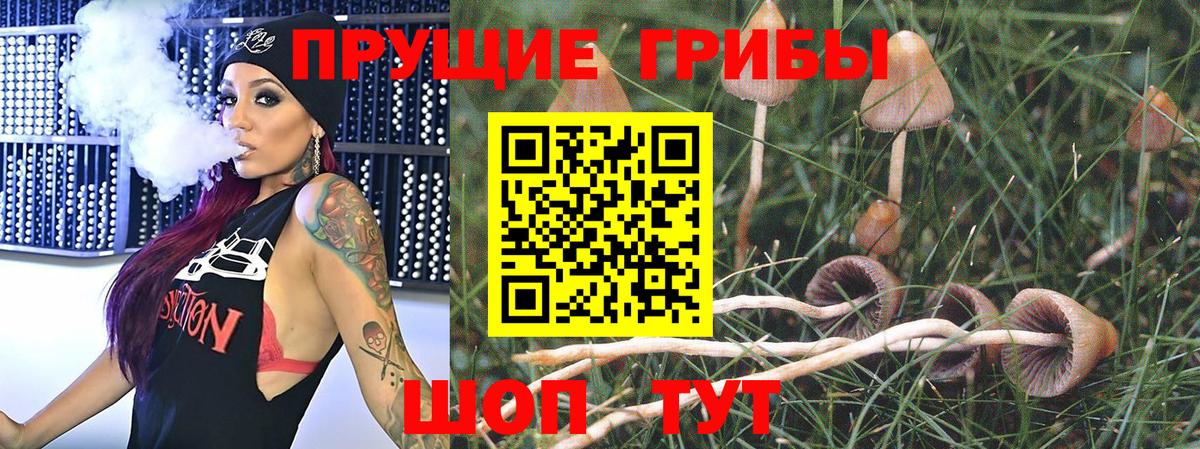 Зерноград  Галлюциногенные грибы GOLDEN TEACHER  Вход с VPN 