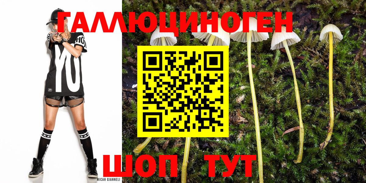 Галлюциногенные грибы прущие грибы Зерноград